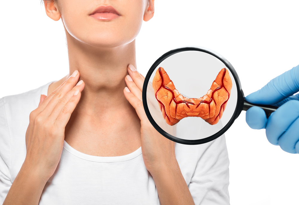 thyroid adrenal pancreas