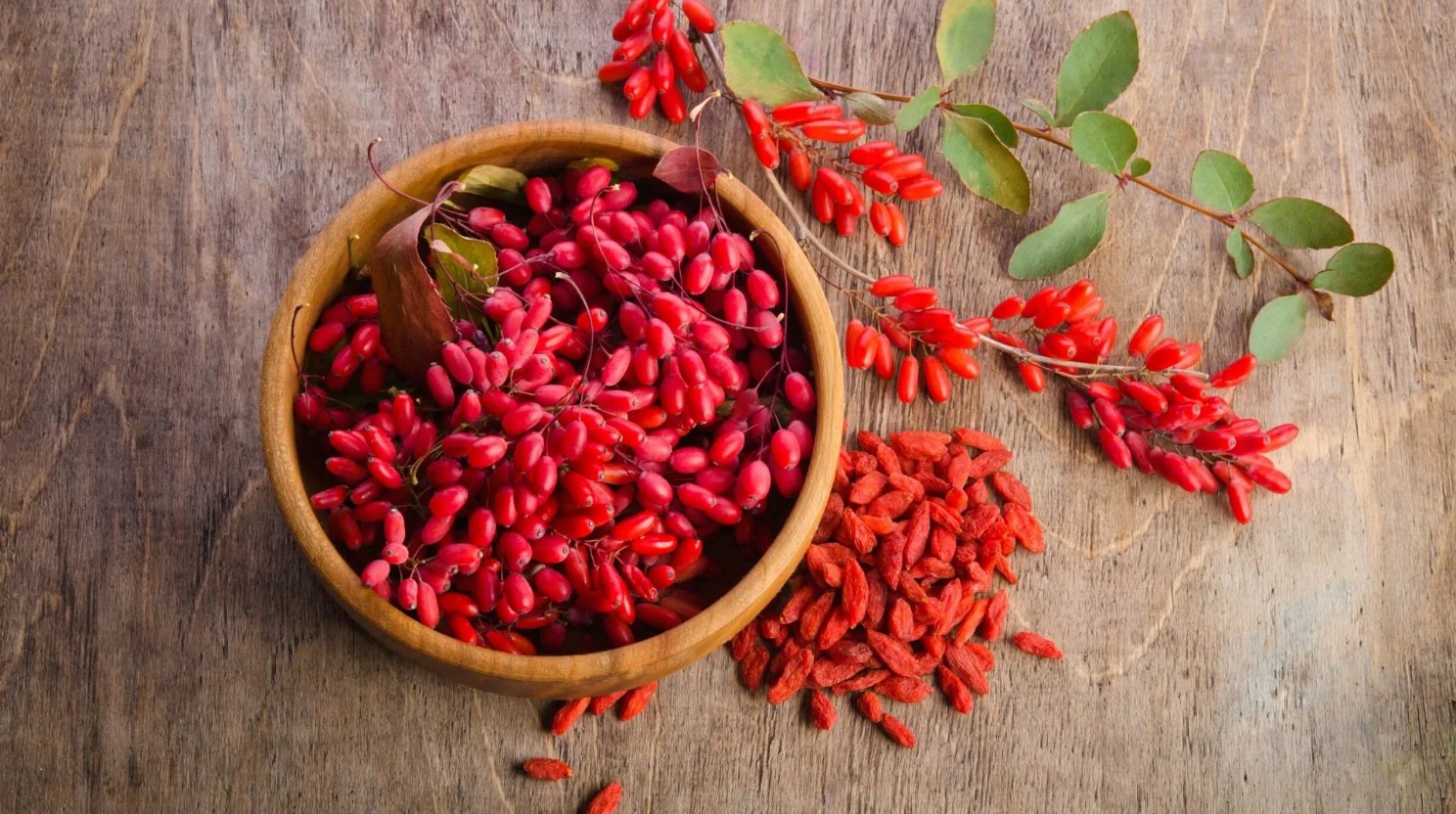 exploring the power of berberine dosage benefits and more